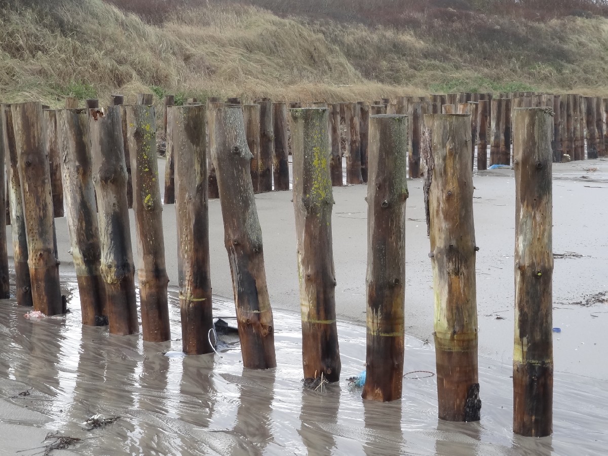 Shoreline and beach defence