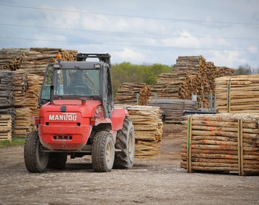  Chestnuts poles from local coppice