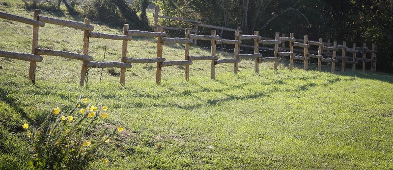 Chestnut poles for landscaping and farming