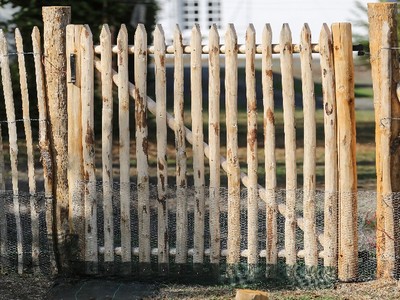 Chestnut fencing gates