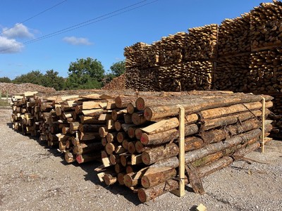 Hardwood chestnut 4 meters height poles