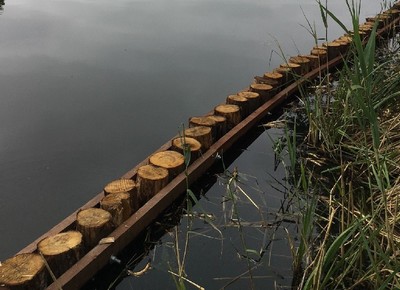 Chestnut hardwood sheet piling