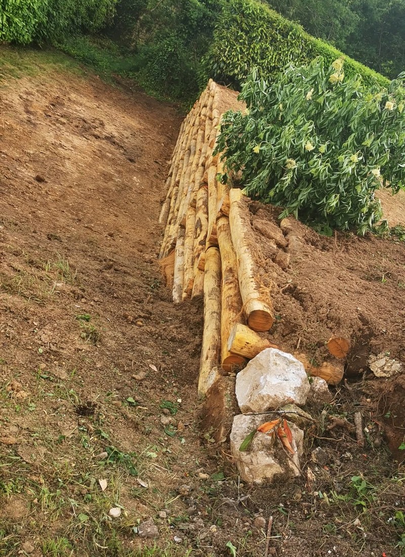 Chestnut poles for slope protection
